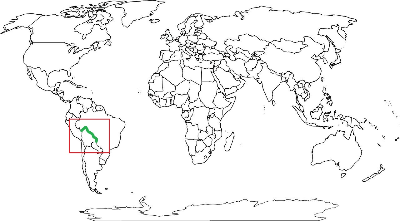 Granica Brazylii z Boliwią grafika