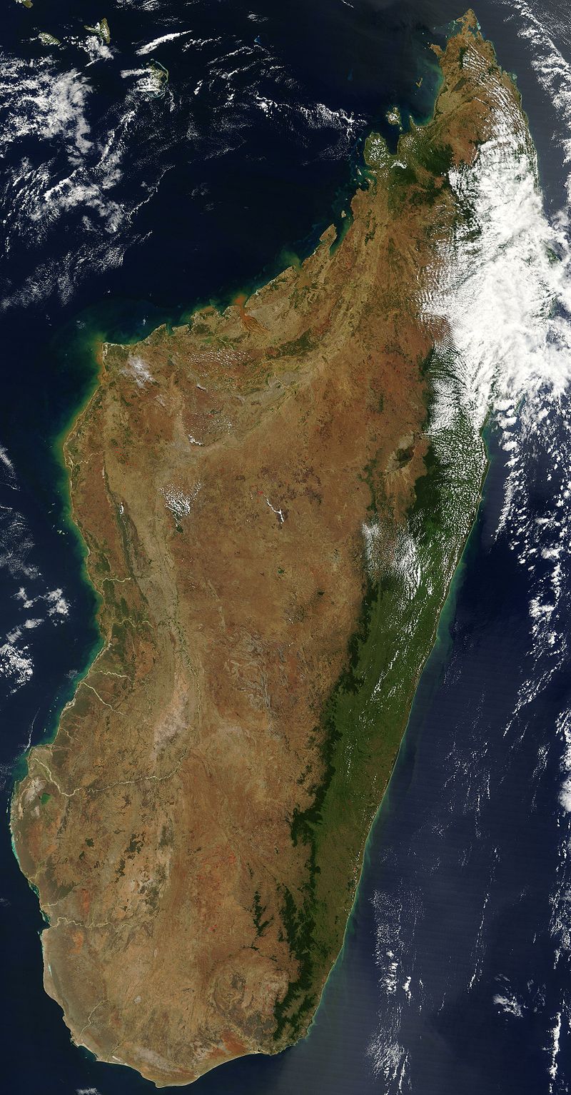 Madagaskar grafika