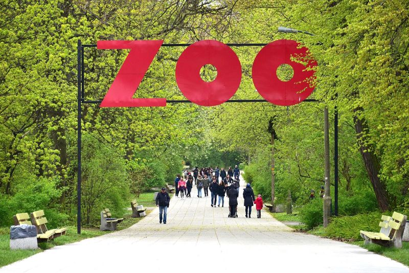 Ogród Zoologiczny w Warszawie grafika