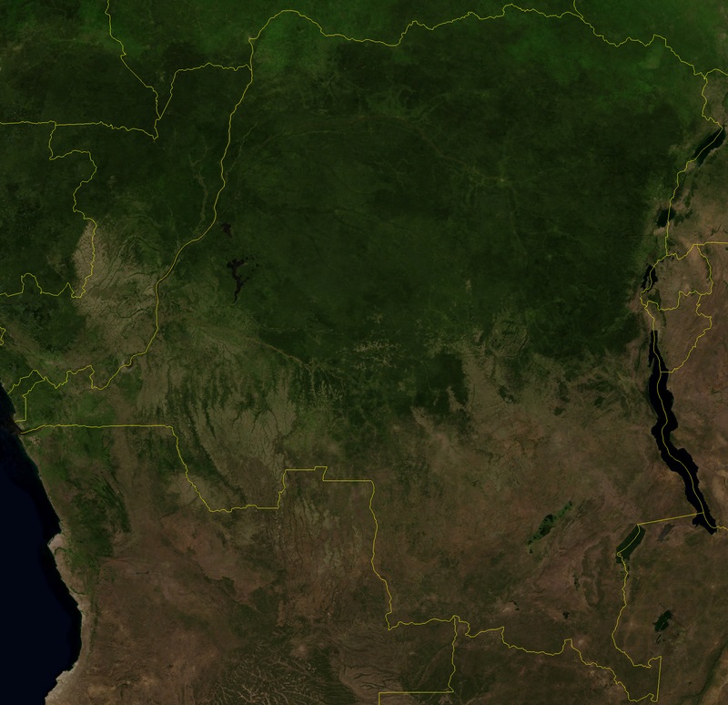 Kongojskie lasy deszczowe grafika