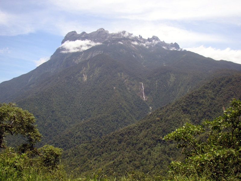 Park Narodowy Kinabalu grafika