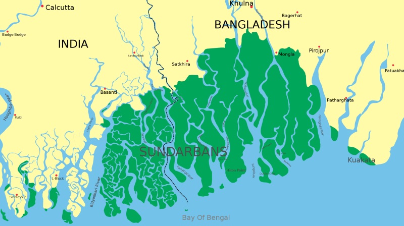 Sundarbany grafika