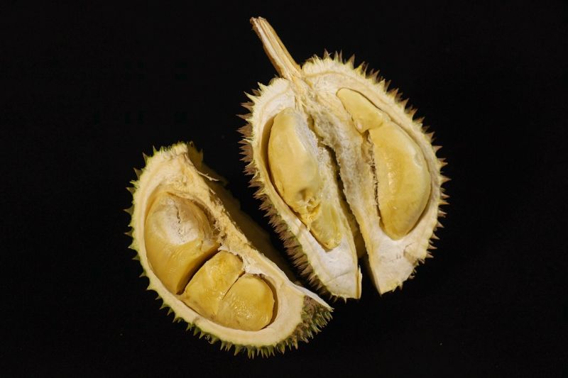 Durian grafika