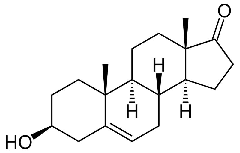 Dehydroepiandrosteron (DHEA) grafika